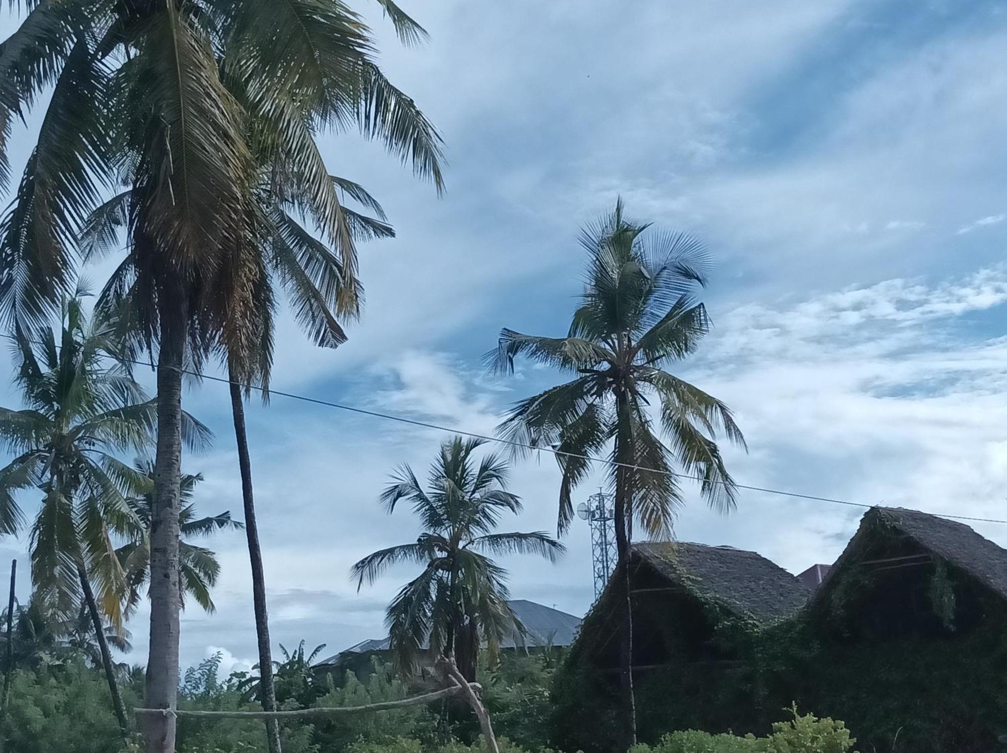 Mamarasta Bed & Breakfast Bwejuu Ngoại thất bức ảnh