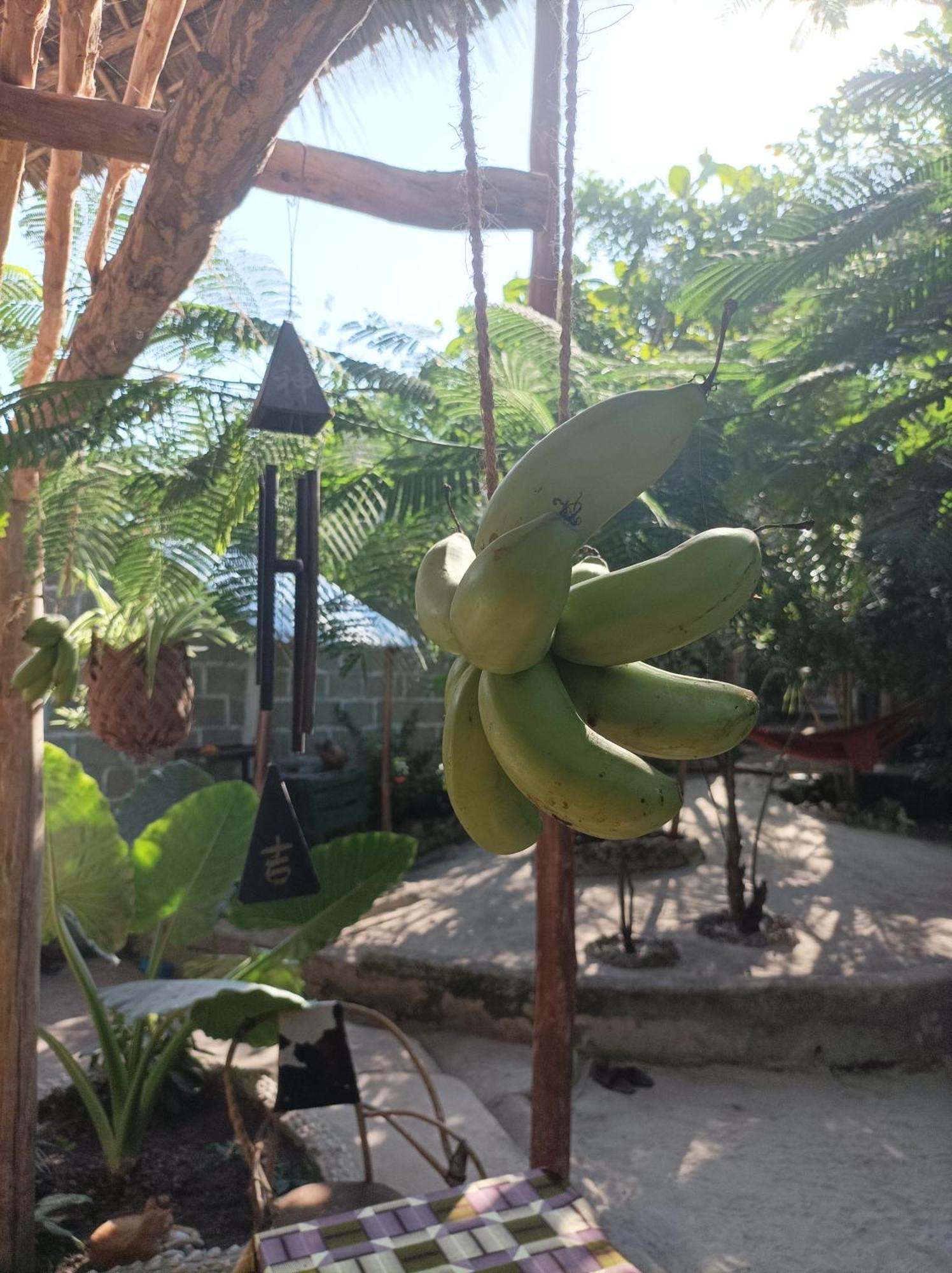 Mamarasta Bed & Breakfast Bwejuu Ngoại thất bức ảnh